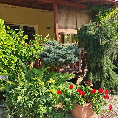 Apartament Malinowa Dolina Kłodzko Exterior foto