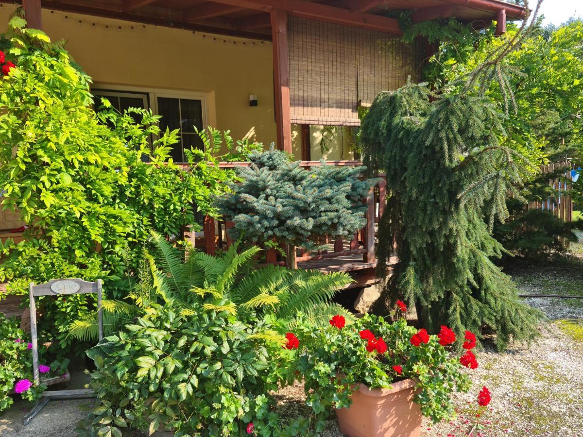 Apartament Malinowa Dolina Kłodzko Exterior foto